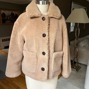From Zara in Paris short teddy bear jacket in tan with faux leather buttons